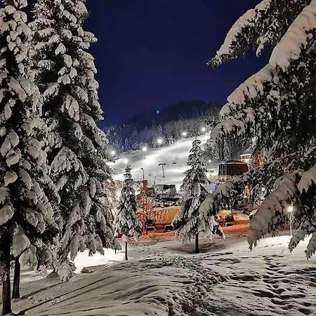 Daire Cute And Cozy Pale